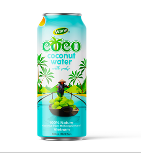 น้ำมะพร้าวรสแช่เย็น320มล. | 100% น้ำซุปข้นผักผลไม้บริสุทธิ์ | - Product Image 5