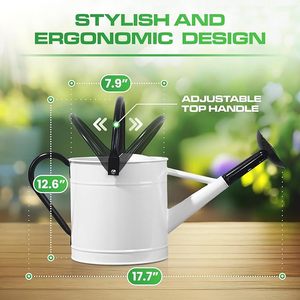 Arrosoir de style antique le plus vendu pour l'arrosage des plantes de jardin et la décoration intérieure, avec une poignée en métal robuste - Product Image 4