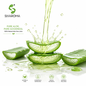 Jugo de Aloe Vera Natural para Procesamiento de Alimentos, Formulaciones Herbales, Fabricación de Cosméticos y Mercado Internacional B2B - Product Image 1