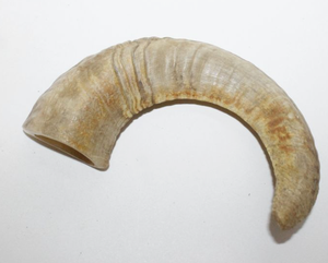 Alimento Natural para Perros Horn Dog Chew Food, No Apto para Uso Diario, Campamentos ni Fiestas, Golosina para Perros Sin Químicos - Product Image 1