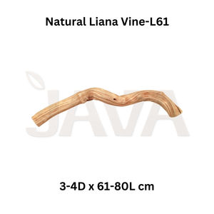 Liana L60-80 Ecológica Decorativa para Acuarios, Terrarios y Vivarios, para Suministros de Aves - Product Image 2