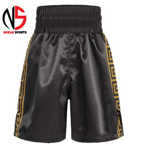 Mécanique corporelle, angles de frappe, rotation de la hanche, production de puissance, vitesse, précision, placement des pieds, attaque, défense, combinaisons, contres - Product Image 6