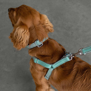High Quality Fancy Leather Dog Collar Wholesale Online Supplier Adjustable Buckle Closure Neckwear Dogs Collars - Product Image 1