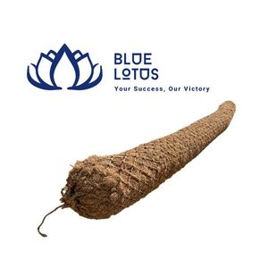 Disponible: Tronco de Coco Sostenible para Métodos de Ingeniería Ambiental y Construcción de Drenaje Pesado - Product Image 1