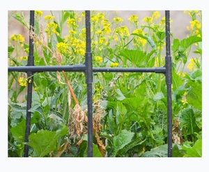 Garden <b>Trellis</b> for Climbing Plants Outdoor U-shaped Plant <b>Trellis</b> Box Set - Product Image 1