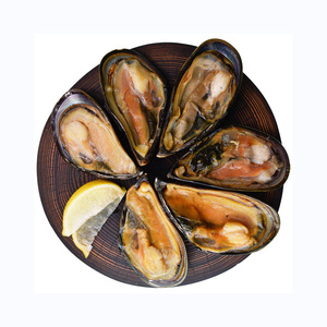 Approvisionnement en gros de moules fraîches naturelles, prix de gros avantageux, fruits de mer nutritifs - Product Image 3