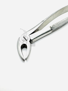 Forceps d'extraction dentaire pédiatrique pour racines supérieures Fig. 4 - Product Image 2
