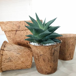 Pot en fibre de coco, fabriqué au Vietnam, conçu pour la pépinière, le jardinage, la plantation et les applications décoratives - Product Image 1