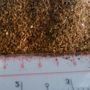 Polvo de melaza en aerosol seco para alimentación animal de ganado para ganado - Product Image 5