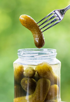 Gourmet Cornichons im Europäischen Stil in Essig mit Natürlichen Kräutern und Gewürzen