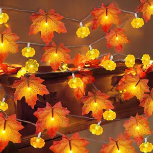 Set di 2 Ghirlande Autunnali con Luci a Forma di Zucca e Timer, Decorazioni per il Ringraziamento, Illuminazione Decorativa Autunnale per la Casa - Product Image 1