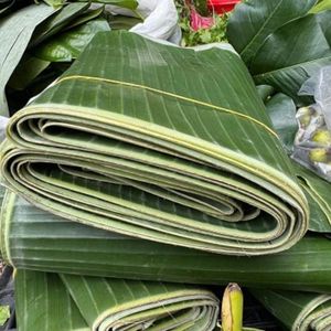 Feuilles de bananier IQF surgelées écologiques les plus vendues, feuilles d'emballage vertes fraîches en gros pour l'emballage alimentaire - Product Image 5
