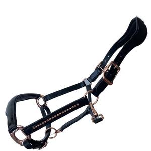 Nouvel Arrivage FAB Licol en Cuir Véritable pour Cheval, Couleur/Taille/Logo Personnalisables, Ferrures en Laiton Massif pour Entraînement et Compétition - Vente en Gros - Product Image 3