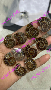 Tranches de Fossile d'Ammonite Naturelle de Haute Qualité - Certifiées par un tiers - Taille personnalisable - Fournitures pour la fabrication de bijoux - FIJAN GEMS - Product Image 2