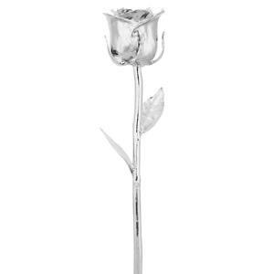 ของขวัญที่ดีที่สุดเงินชุบกุหลาบธรรมชาติ - Product Image 3