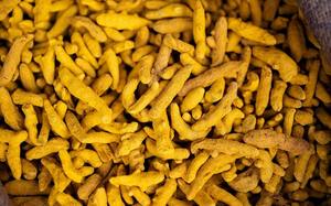 Cúrcuma Seca Premium Mezclada, en Dedos, Entera, Pulida Doble, Origen Kerala, Grado de Exportación a Granel, Raíz de Haldi Natural de Calidad - Product Image 4