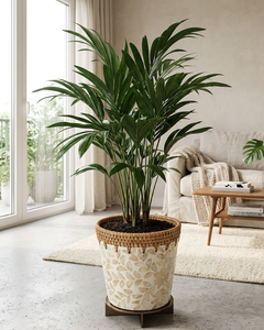 Cesta de mimbre tejida con diseño de incrustaciones de MOP, cubierta decorativa para macetas de interior y exterior, soporte para macetas de jardín estilo boho de Vietnam - Product Image 5