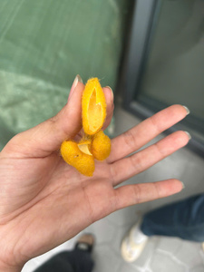 Natural <b>Silkworm</b> Cocoons Raw Silk Material for Handmade Craft Textile Beauty Care and Wholesale Export Supply - Product Image 1