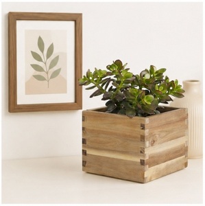 Jardinière rectangulaire en bois d'acacia sur mesure, pot à fleurs en bois massif naturel avec boîte pour la décoration intérieure et extérieure du jardin - Product Image 2