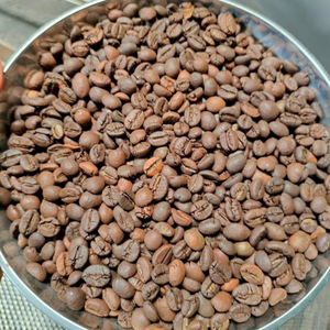 Café en Grano Entero de Mezcla Arábica Robusta Vietnamita de Alta Calidad, Tueste Claro, Grado A+, Certificado ISO, en Bolsa, Mejor Precio 2026 - Product Image 3