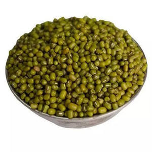 Fournisseur en gros de haricots mungo verts de qualité supérieure en grandes quantités, à vendre à prix avantageux - Product Image 4