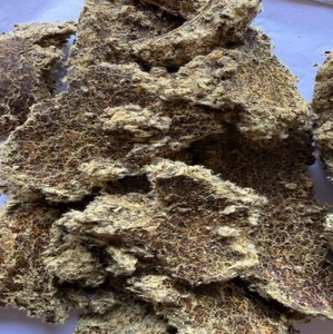 Harina de Semillas de Algodón de Alta Demanda, Grado Alimenticio Natural, Proteína para Ganado, Lechera y Avicultura, Grado A Disponible, Buen Precio - Product Image 5