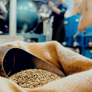 Café Vert Arabica de Haute Qualité du Vietnam, Spécialité du Vietnam, Grains de Café Verts de Grade 16 G1/G2, Certifié ISO 22000 & USDA, Marque TNFOOD - Product Image 1