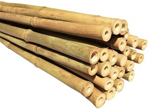 Precios competitivos - Varas de bambú natural de primera calidad - Proveedor de exportación de bambú de Vietnam - Product Image 2