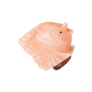 Lámpara de Sal del Himalaya Natural Tallada a Mano de Alta Calidad, Estilo Feng Shui, con Forma de Animal, Color Rosa, con Logotipo Personalizado y Regulador de Intensidad - Product Image 5