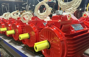 Service OEM Moteur électrique AC industriel résistant à la chaleur de classe C IP55 IP56 Boîtier en fonte - Product Image 6