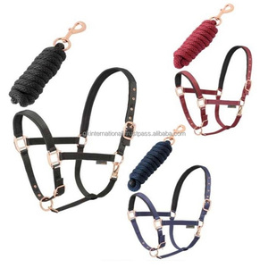 Customized Colorful Handmade <b>Thick</b> Nylon Webbing Nylon Horse Halter with Rose Gold Hardware and Matching Lead <b>Ropes</b> - Product Image 4