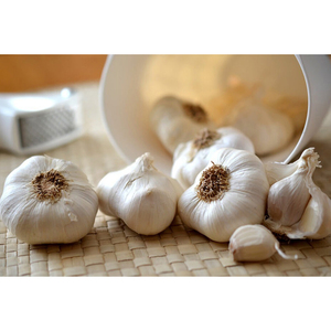 Fournisseur d'ail frais blanc pur, blanc normal, blanc violet - Product Image 4