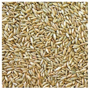 High Purity Rye <b>Grain</b> Bulk Organic Certified Rye Seeds for Milling Brewing Animal Feed Premium Quality Export Standard Supply - Product Image 2