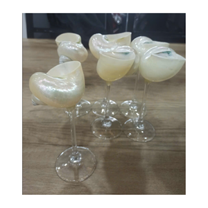 Tasse en coquillage naturel de haute qualité, faite à la main, décoration de maison de style côtier, cadeau inspiré de l'océan, fournisseur en gros du Vietnam, prête à être expédiée - Product Image 3