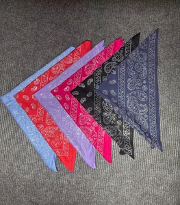 Foulard carré en coton Paisley, doux et imprimé, pour la tête ou le cou, idéal pour les activités décontractées en extérieur - Product Image 1