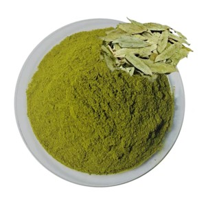 Polvo de Hoja de Senna 100% Puro de Alta Calidad, Grado Alimenticio, Polvo Natural de Cassia Angustifolia para Té de Hierbas, Desintoxicación y Apoyo Digestivo - Product Image 1