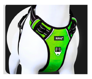 Arnés Ajustable para Perros, Cómodo, Sin Tirones, con Hebilla Segura para Perros Pequeños, Medianos y Grandes - Product Image 2
