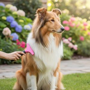 Cepillo de Doble Cara YOMMY para Eliminar el Pelo Suelto de Mascotas, Cepillos para Desenredar y Reducir la Caída del Pelo, Modelos Disponibles en Rojo - Product Image 3