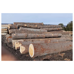 Best Selling Oak Timber Wood <b>Logs</b> Harvested Under Sustainable Forestry Practices And Strict Quality Standards - Product Image 5