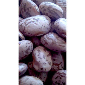 100% Hot Pinto Sugar <b>Beans</b> Price For Sale - Product Image 6