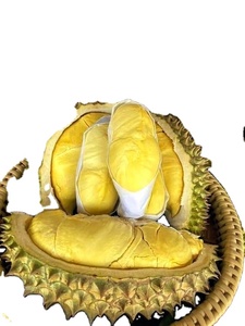 Durian frais de haute qualité: le meilleur du Vietnam à des prix équitables - Product Image 4