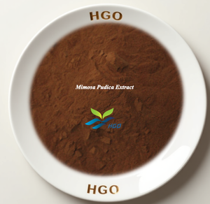 Extrait de Mimosa Pudica Pur et Naturel de Qualité Alimentaire, Fourniture Directe d'Usine HGO, Spécifications 5:1, 10:1, 20:1 - Product Image 1