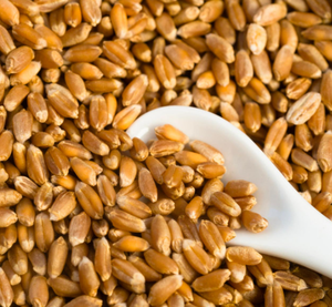 Grano de Trigo Seco de Primera Calidad a Granel / Trigo Integral de Origen Estadounidense, 24 Meses de Vida Útil, Sabor Natural, Entrega Rápida, Venta de Stock - Product Image 1