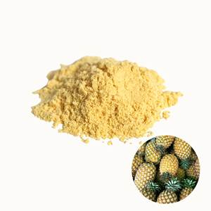 Meilleur prix, qualité supérieure, fabriqué au Vietnam, vente chaude, poudre de peau d'ananas séchée naturelle, emballage en vrac - Product Image 1