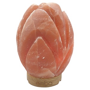 Lámpara de Sal del Himalaya Tallada en Material Orgánico con Luz USB de 5 Colores Cambiantes - Sian Enterprises - Product Image 4