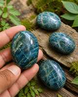 Pierre de palmier en apatite bleue naturelle polie, pierre de poche pour la manifestation du chakra de la gorge, la motivation, la concentration et la méditation