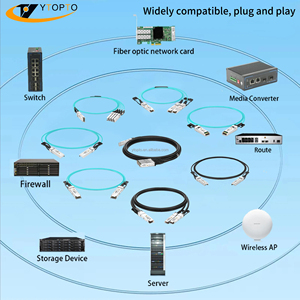 QSFP DD 01M 2M 400g 4x100G ขั้วต่อ PVC หุ้มฉนวน OM2/OM3/OM4 LC 5g พร้อมประกัน3ปี DAC - Product Image 6