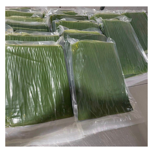 Fabricant de feuilles de bananier congelées du Vietnam de qualité supérieure, fournisseur direct d'usine, vente en gros en vrac pour la restauration, les restaurants et la vente au détail - Product Image 6