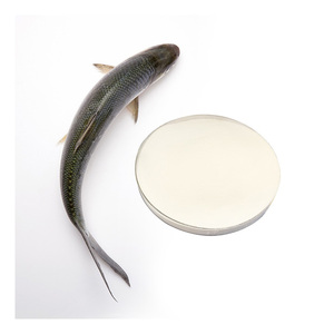 Marine sourced fish collagen peptides high quality bulk supply factory direct wholesale supply - Product Image 1