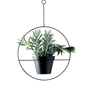Wholesale Powder Metal Hanging Plant <b>Pots</b> High Quality Round & Oval Iron Wall Hangers For Plants Eco-Friendly Home Decor - Product Image 4